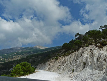 Forstweg Sierra Tejeida