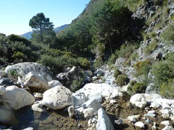 Rio Turvilla Axarquia