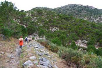 Abstieg nach Canillas de Albaida